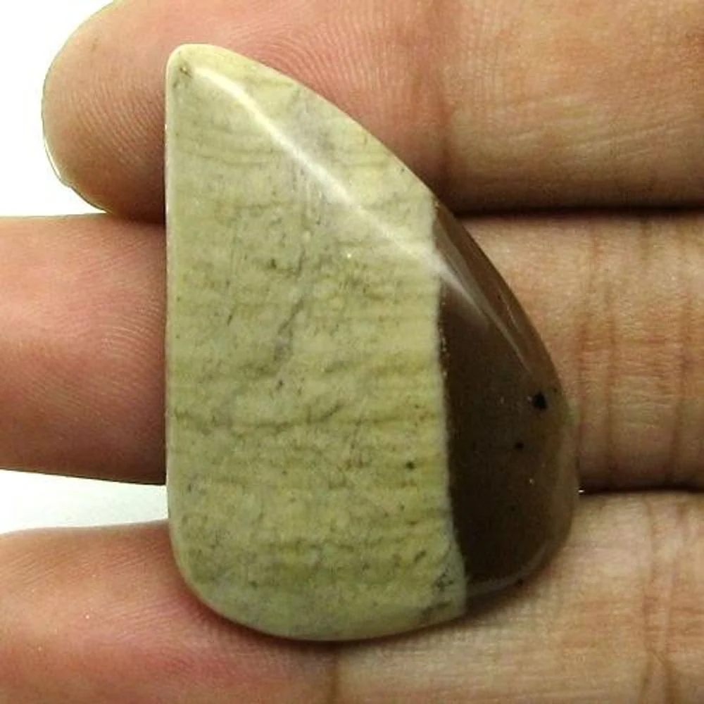 256Ct Natural Brown Jasper Parcel – 5pcs Polished Cabochon Stones - Image 3