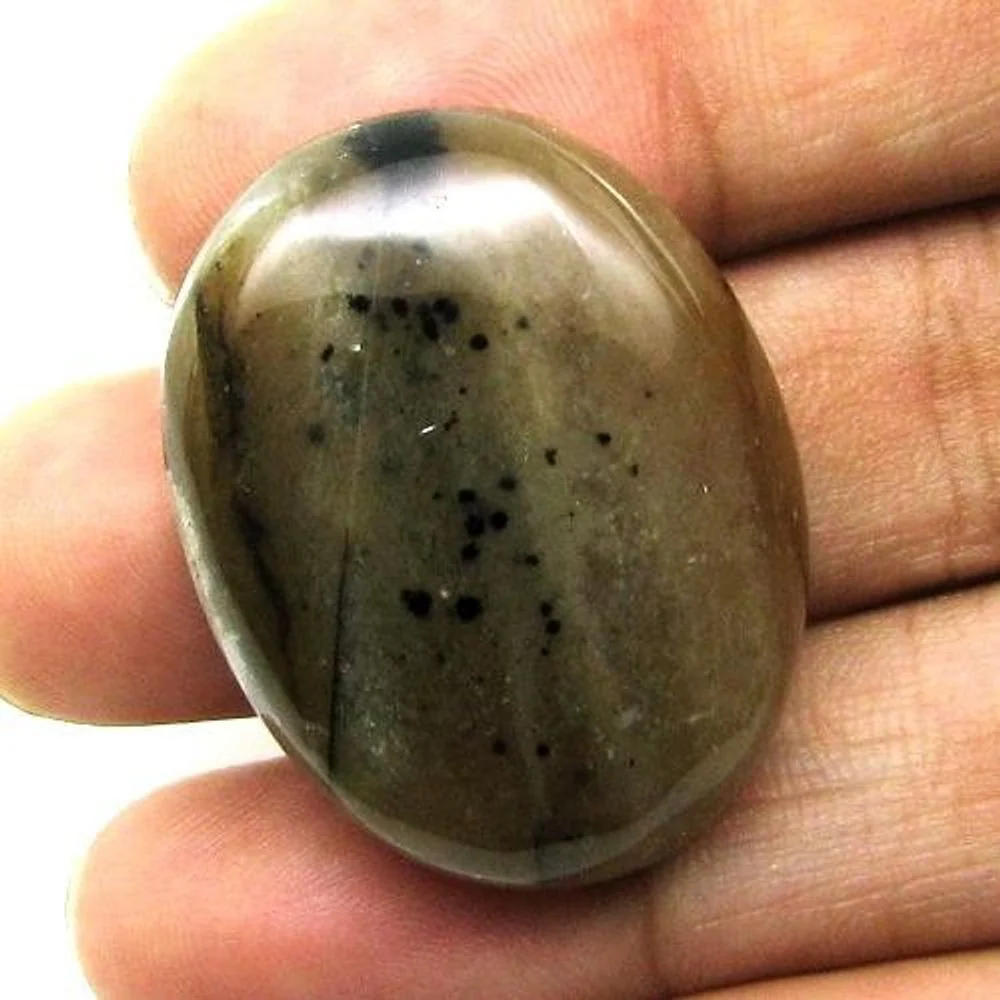 279.3Ct 5pc Fine Picture Jasper Gem Lot – Polished Pattern Cabochons - Image 3