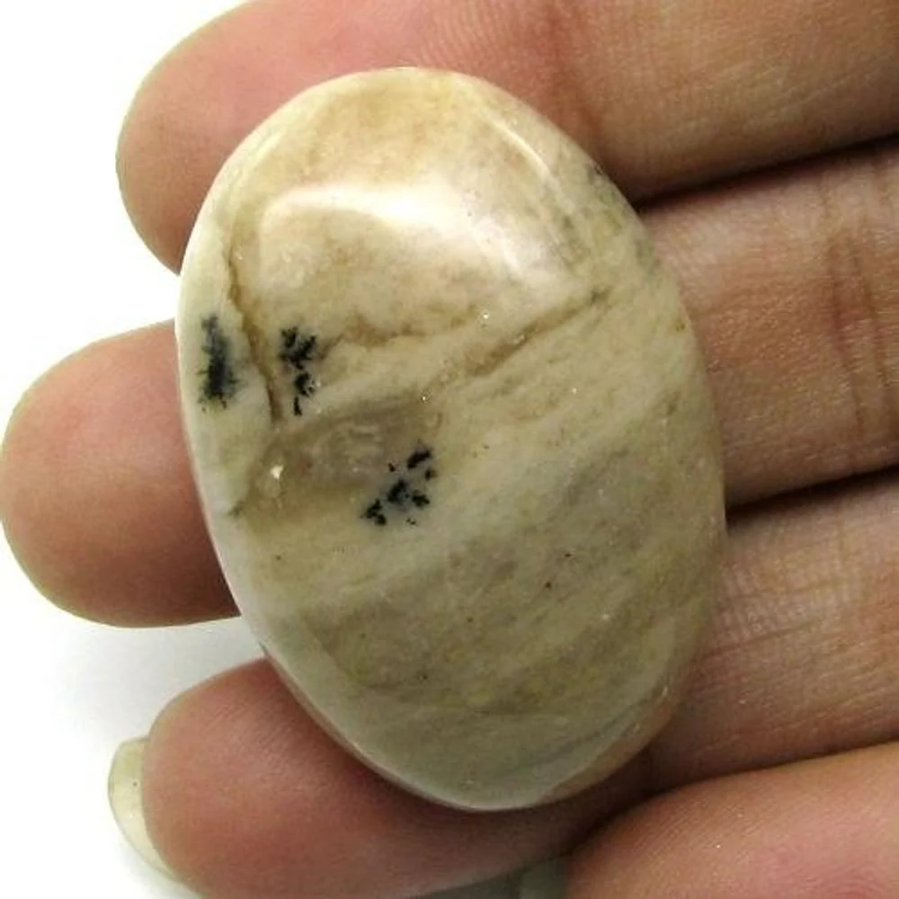 279.3Ct 5pc Fine Picture Jasper Gem Lot – Polished Pattern Cabochons - Image 4