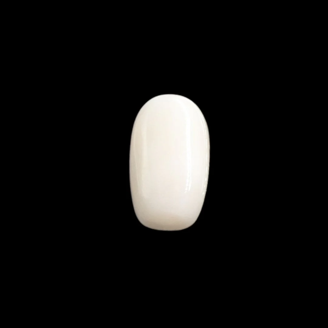 5.8Ct Natural White Coral Moonga Jewelry Making Gemstone