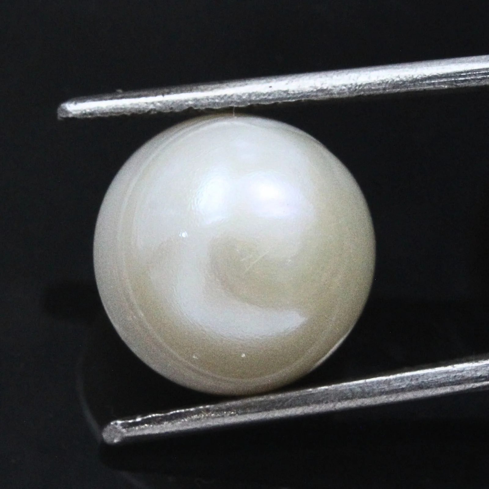 9.1Ct Natural Real Loose Pearl Gemstone
